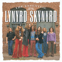 レーナード・スキナード LYNYRD SKYNYRD/ザ・ラスト・レベル Amazon.co.jp: ザ・ラスト・レベル: ミュージック
