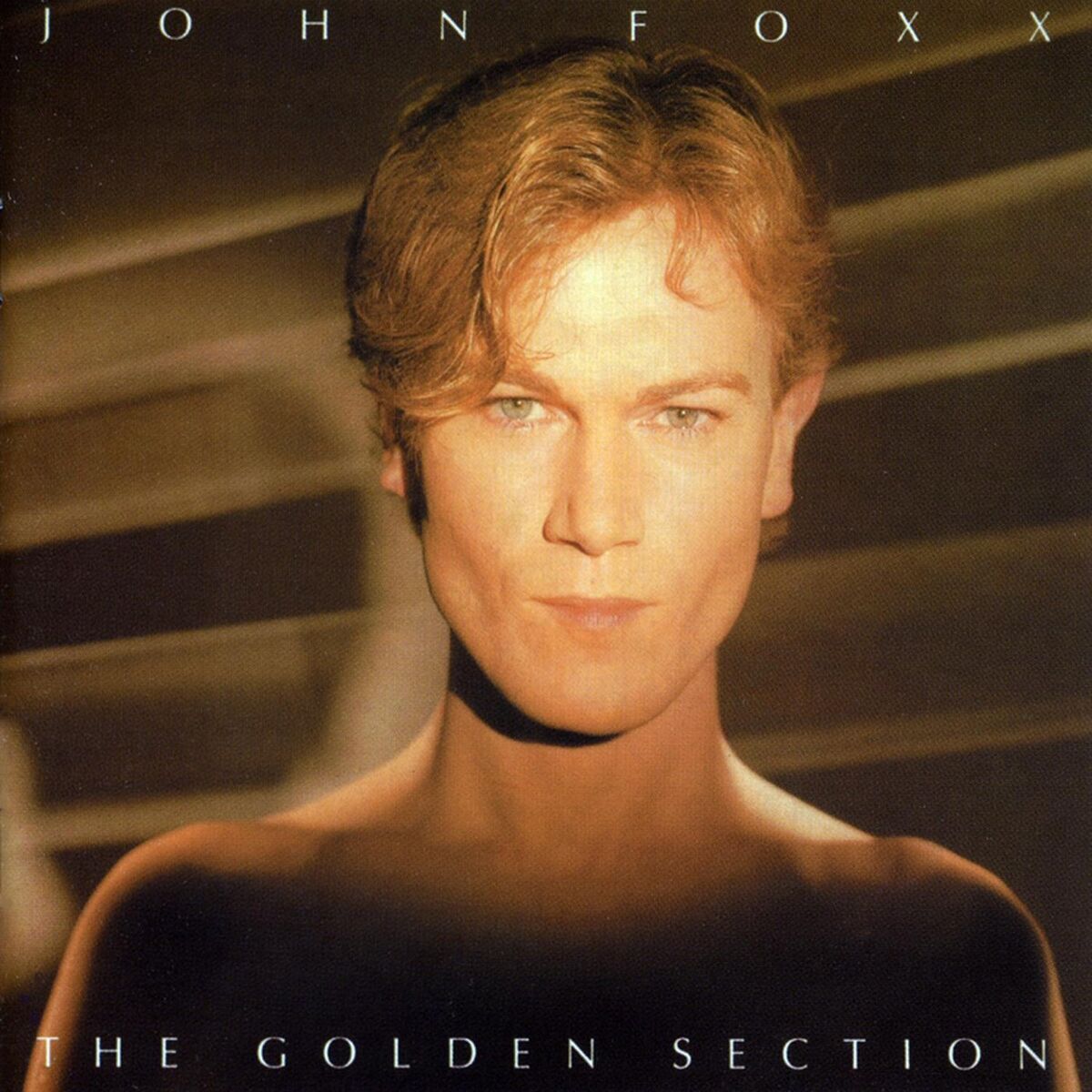 Album cover of The Golden Section...Plus