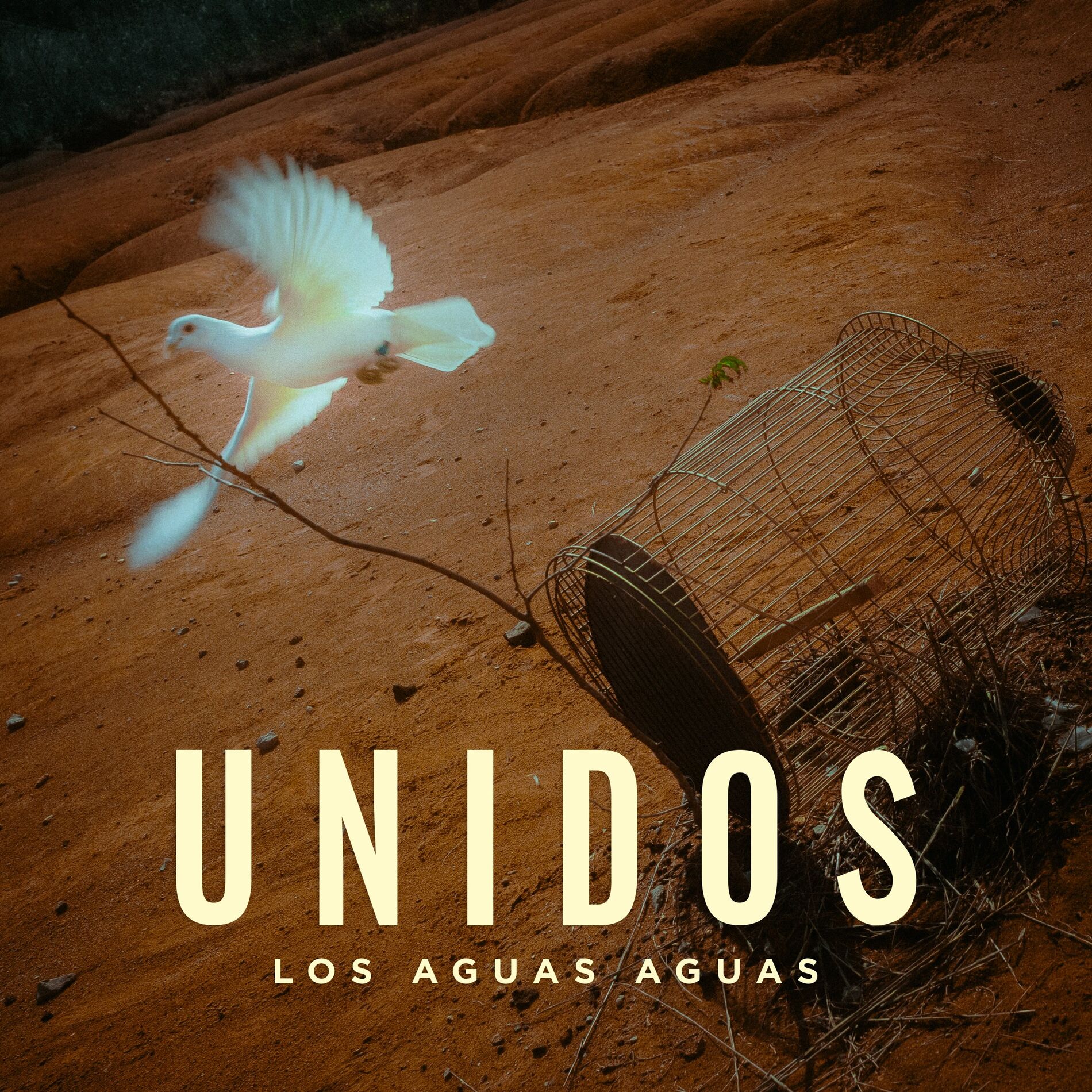 Album cover of Unidos