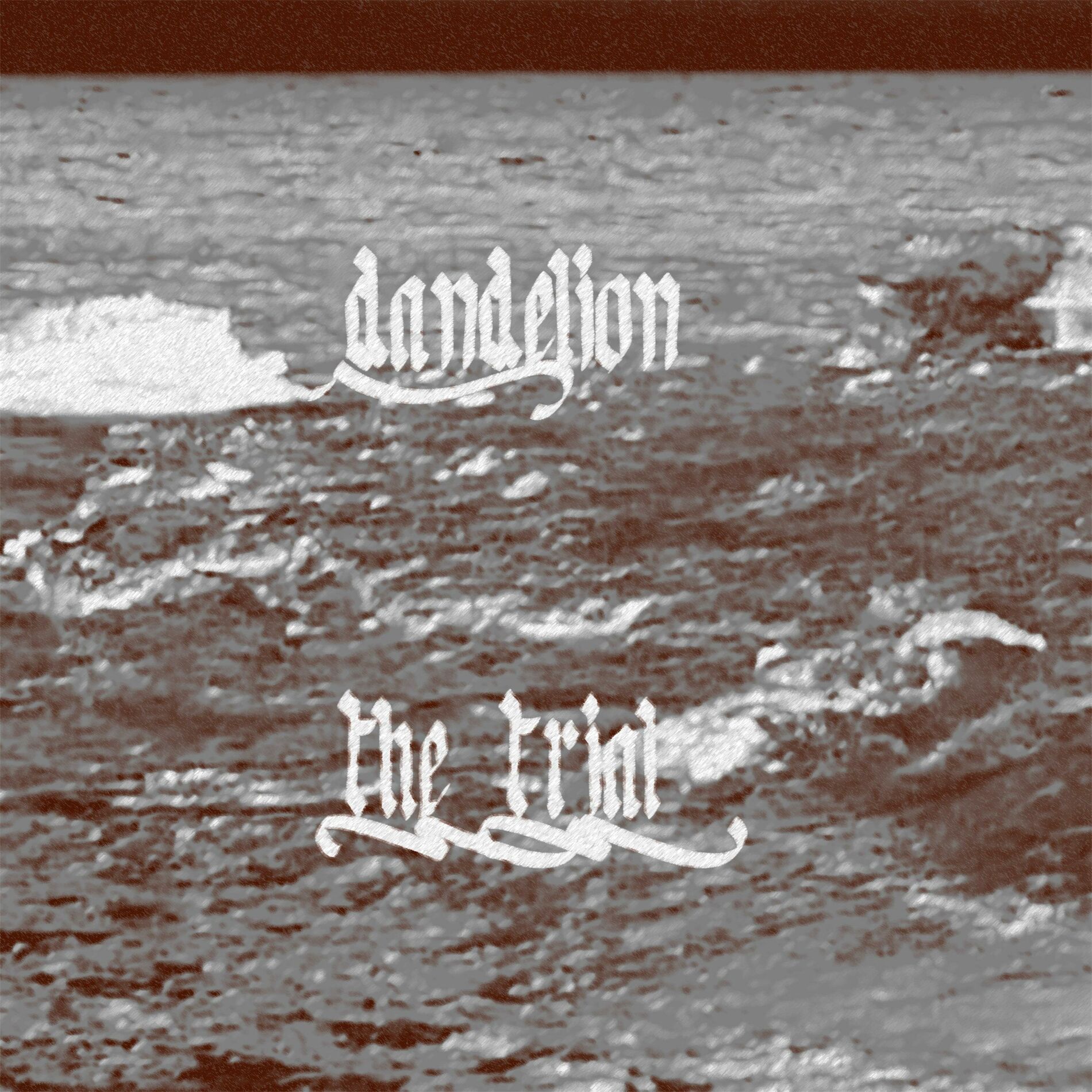 Album cover of The Trial