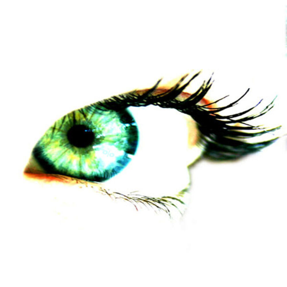 Picture of Feel