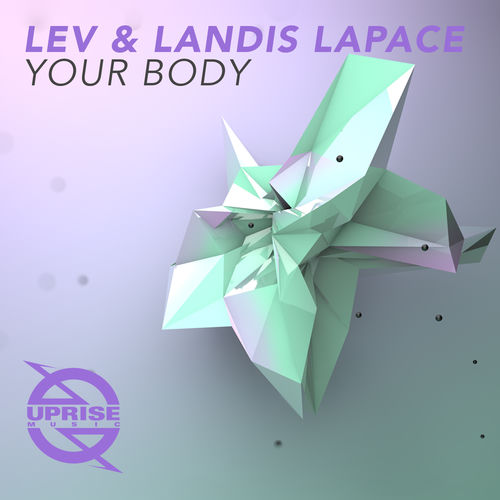 Your Body