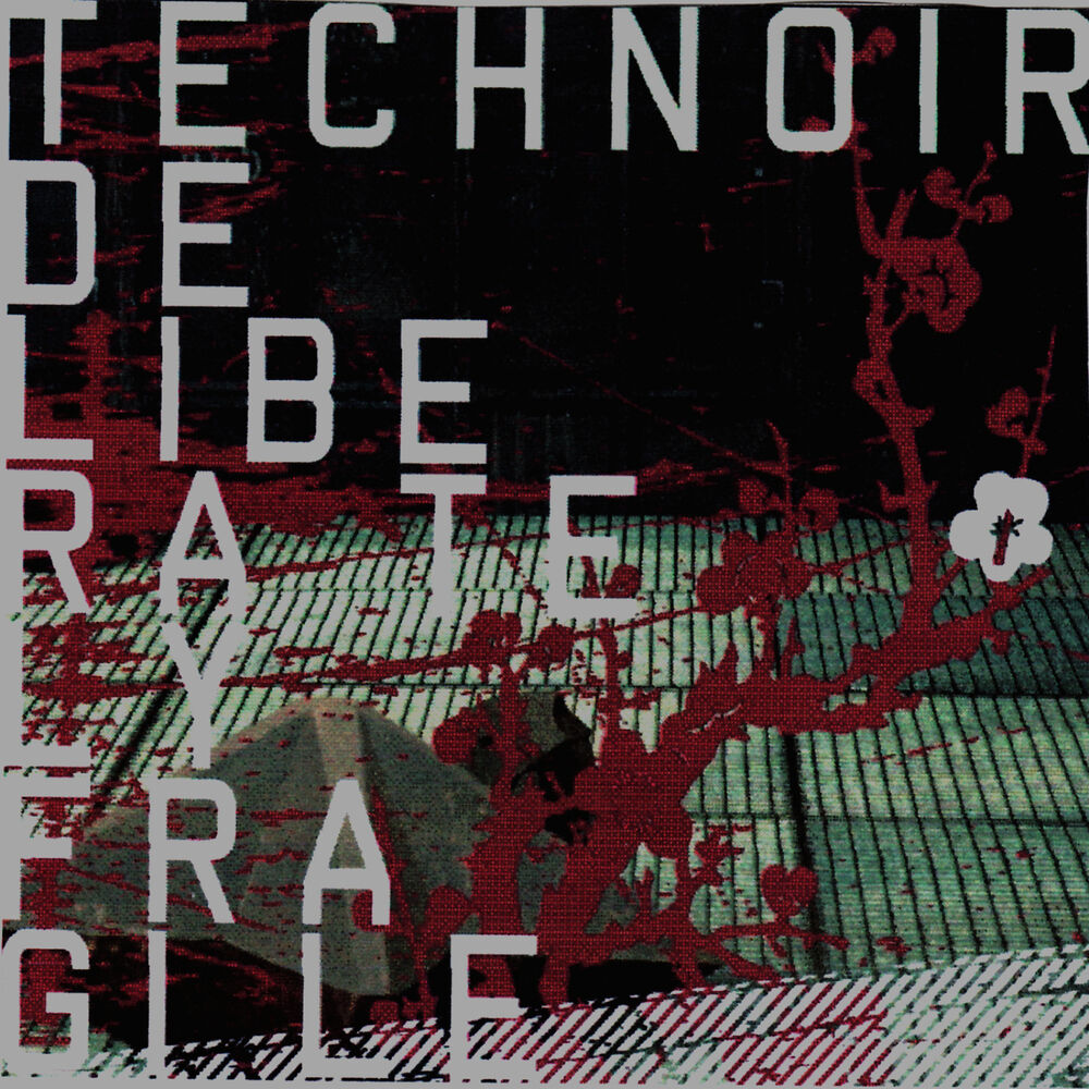 Picture of Deliberately Fragile (Bonus Disc)