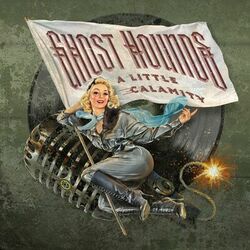 Cover of A Little Calamity