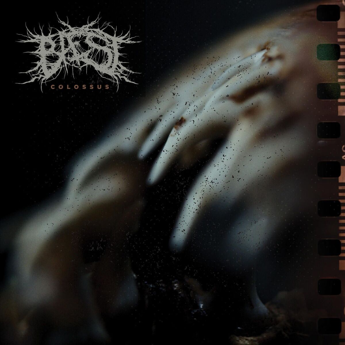 Album cover of Colossus