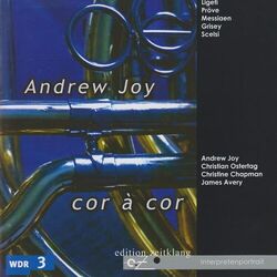 Cover of Andrew Joy: Cor à cor