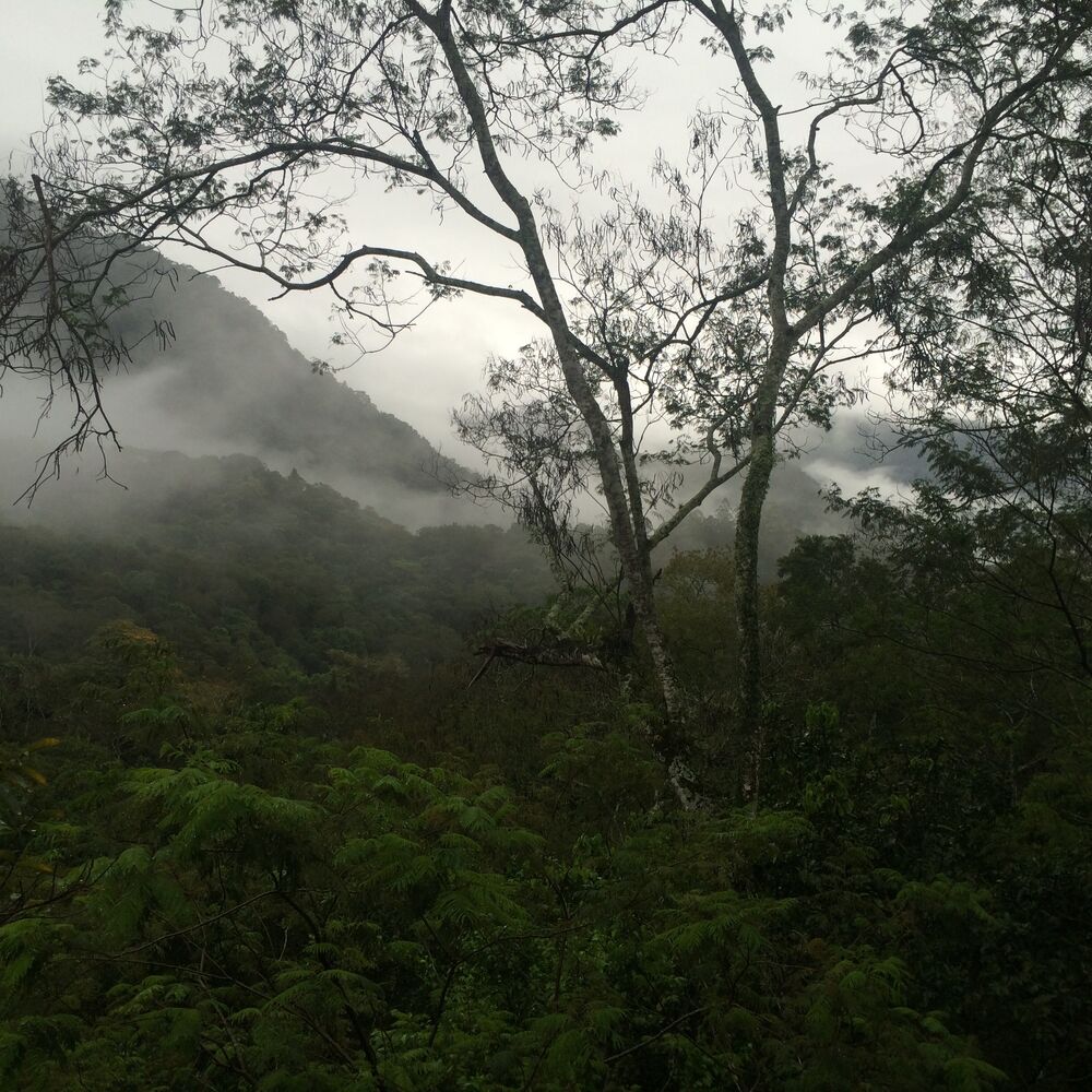 Picture of O Toque pelas Trilhas de Minas