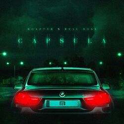 Cover of Capsula