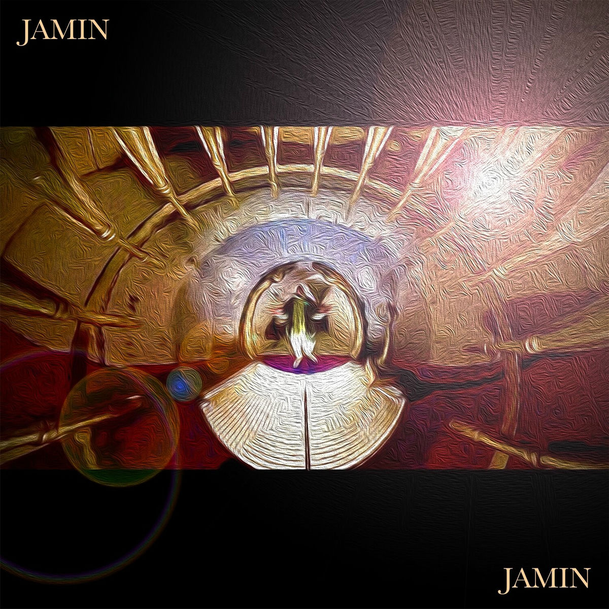 Album cover of Jamin