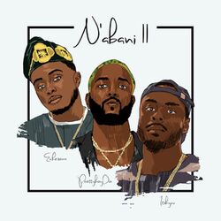 Cover of N'abani (Remix)