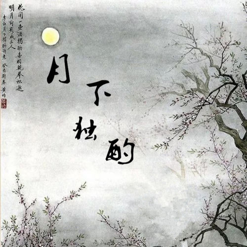 月下独酌·其一