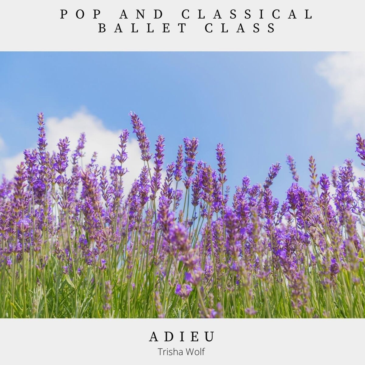 Album cover of Tendu from 5th: Norwegian Dance