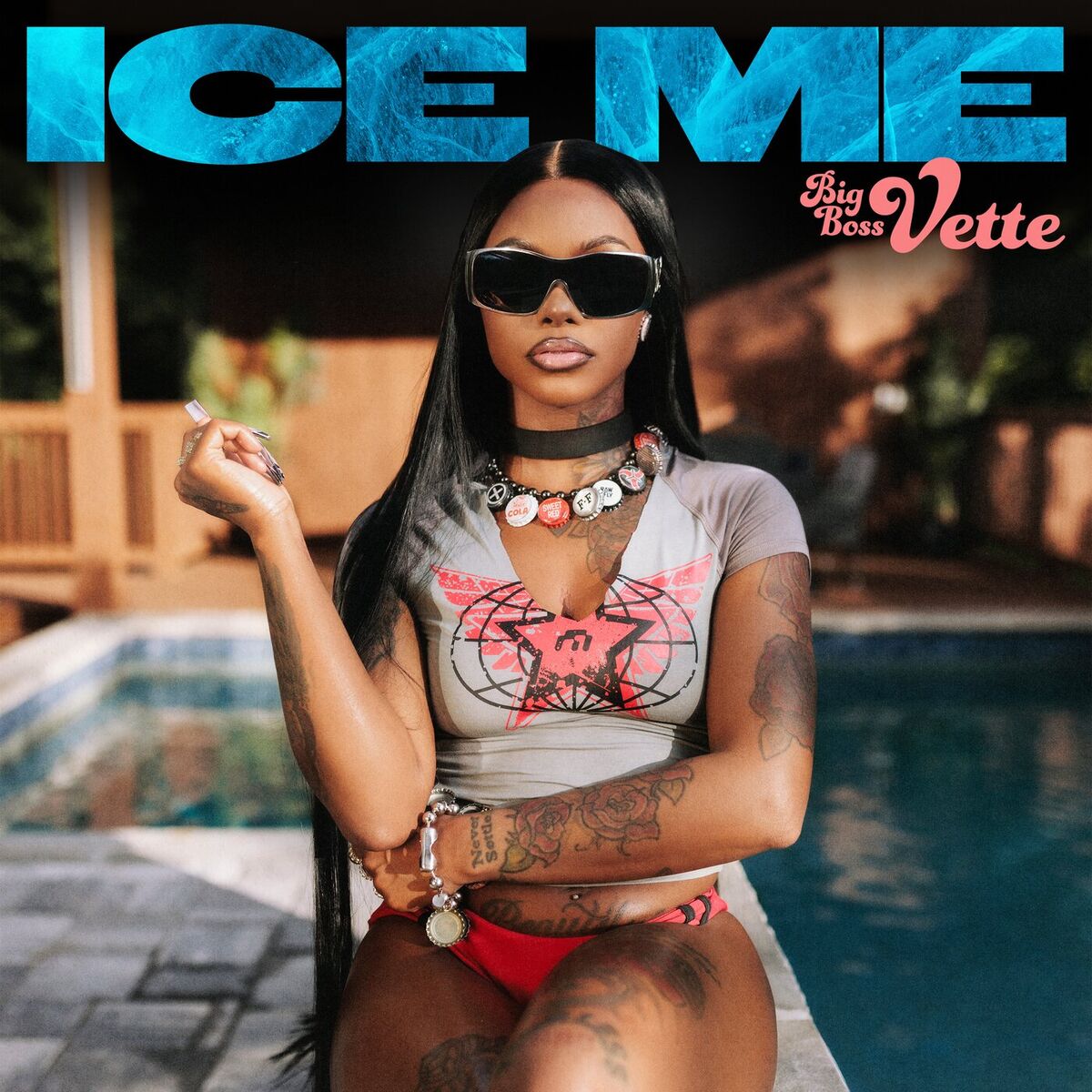 Album cover of Ice Me