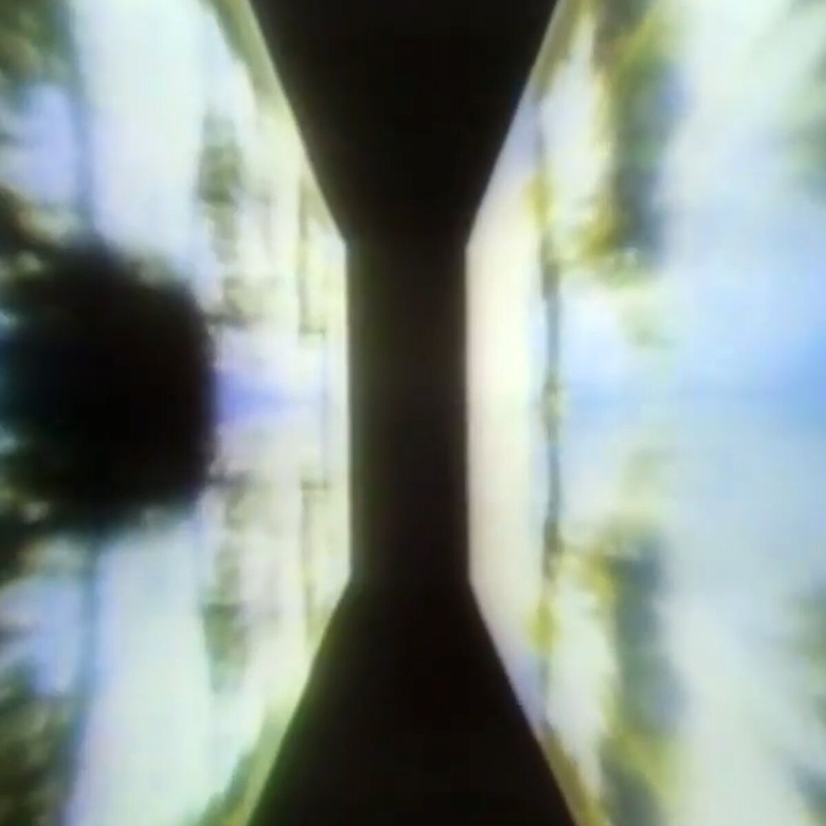 Album cover of Pavesa