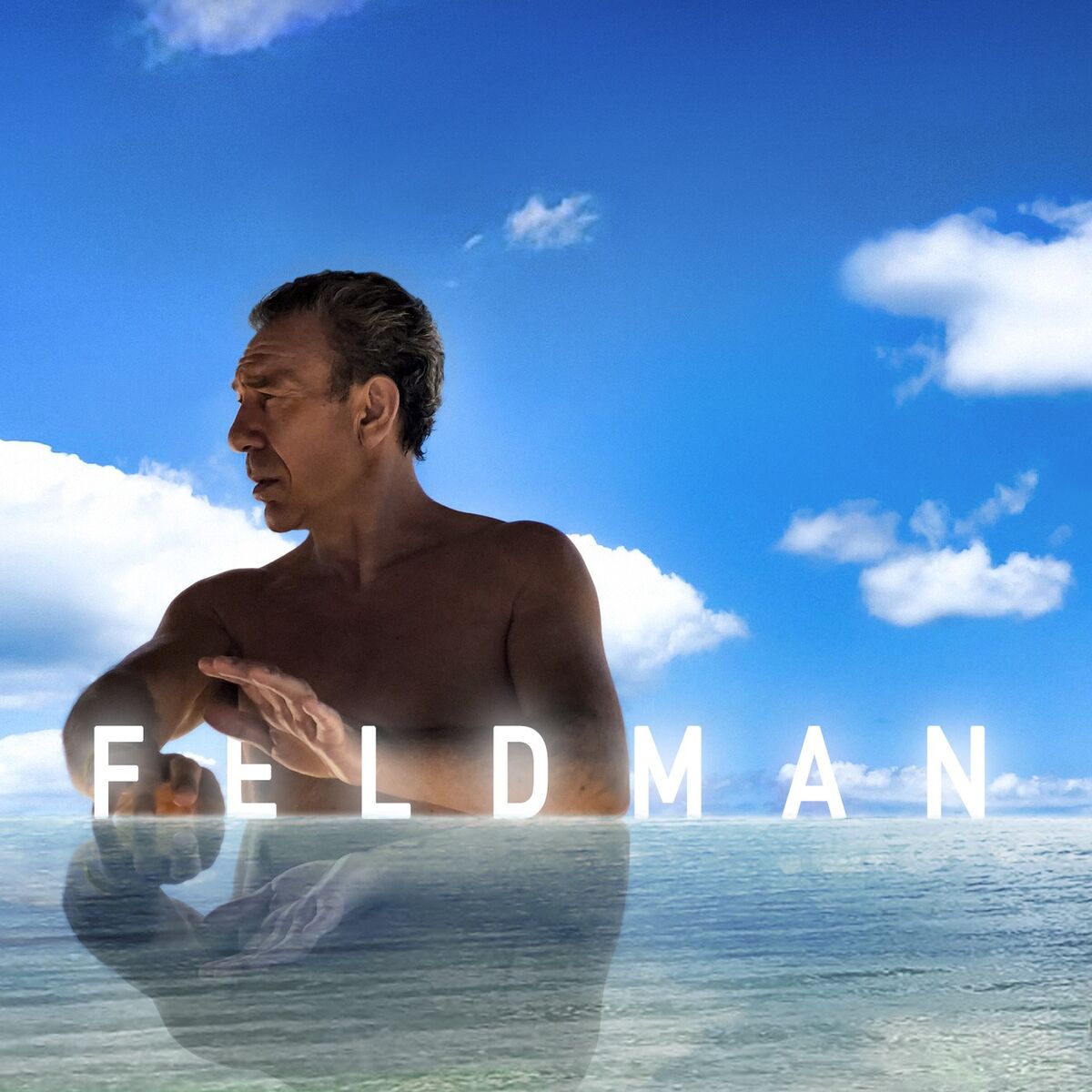 Album cover of Vivant