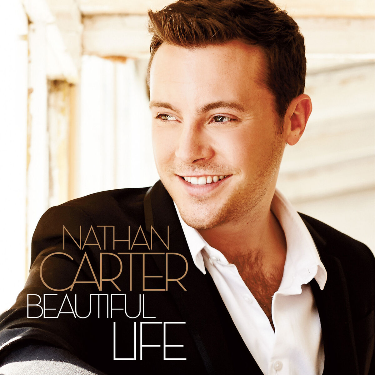 Album cover of Beautiful Life