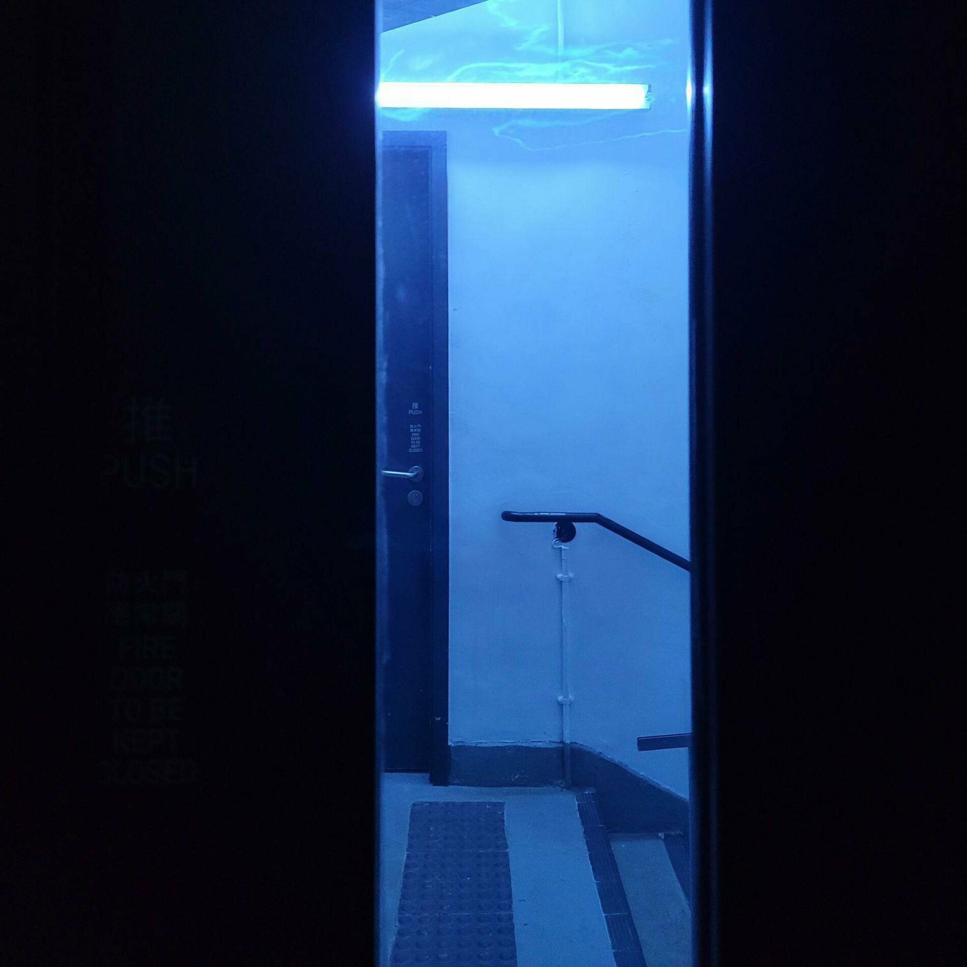 Album cover of afraid