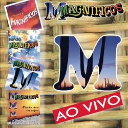 Cover of Ao Vivo