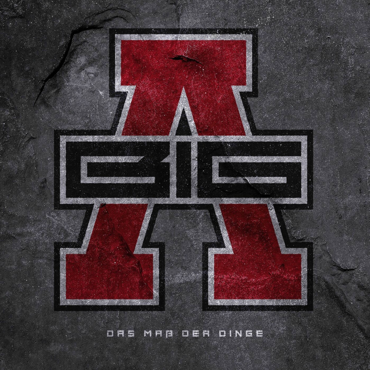 Album cover of D.M.D.D. (Das Maß der Dinge)