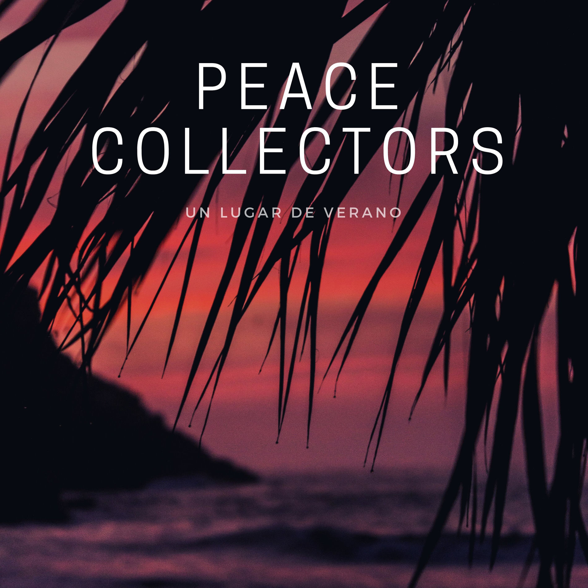 Album cover of Un Lugar de Verano