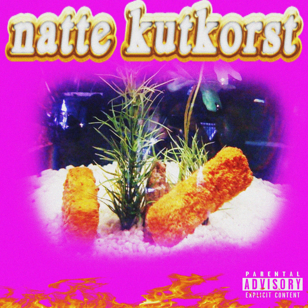 Album artwork for Natte Kutkorst by NATTE VISSTICK