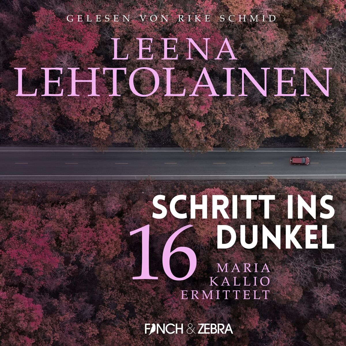 Album cover of Schritt ins Dunkel - Maria Kallio ermittelt, Band 16 (ungekürzt)