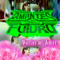 Cover of Vuelve Mi Amor