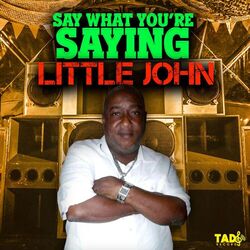 Cover of Say What You're Saying