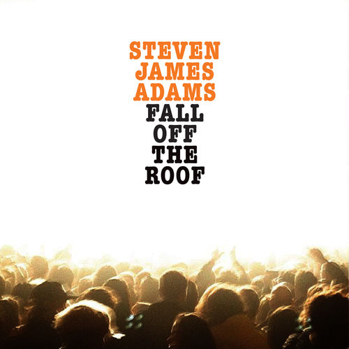 Fall Off the Roof sleeve
