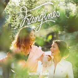 Cover of Notre-Dame