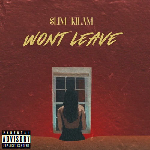 Won't Leave artwork