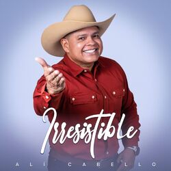 Cover of Irresistible