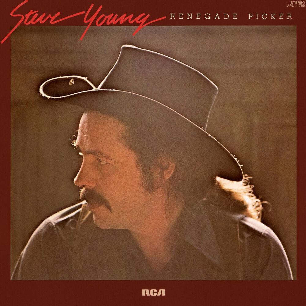 Picture of Renegade Picker