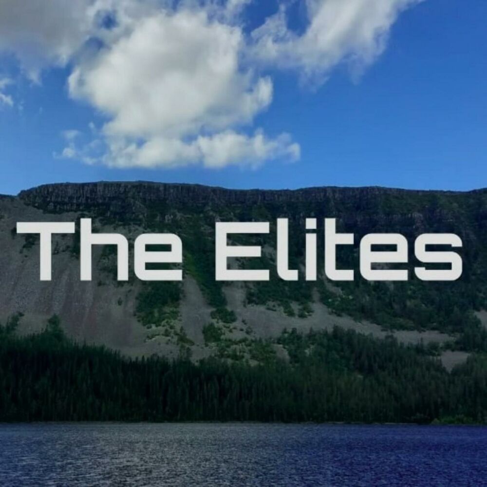 Picture of The Elites