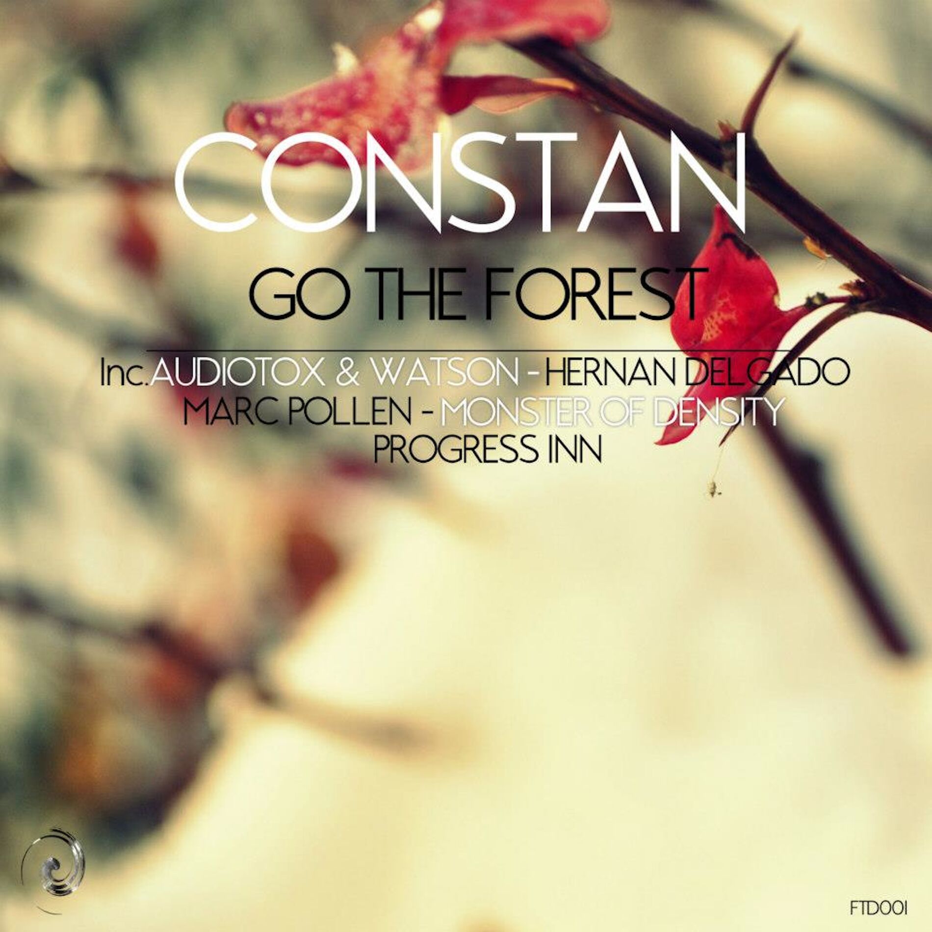 Album cover of Go the Forest