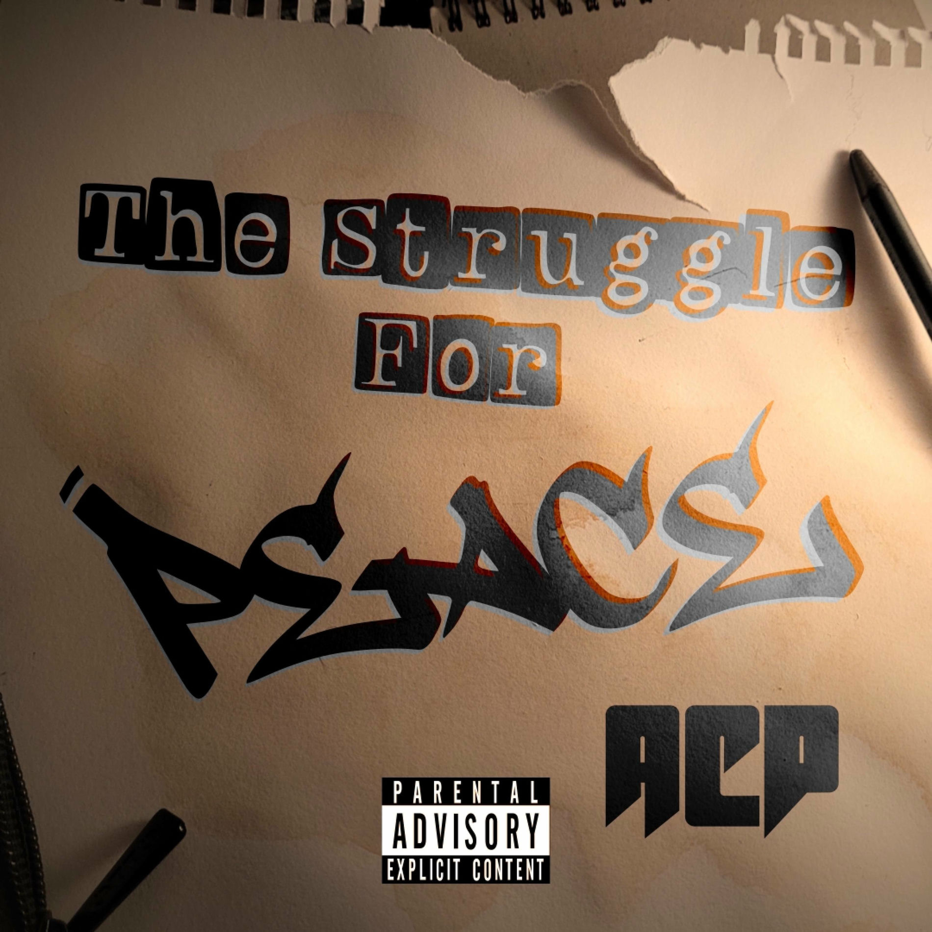 Album cover of The Struggle For Peace