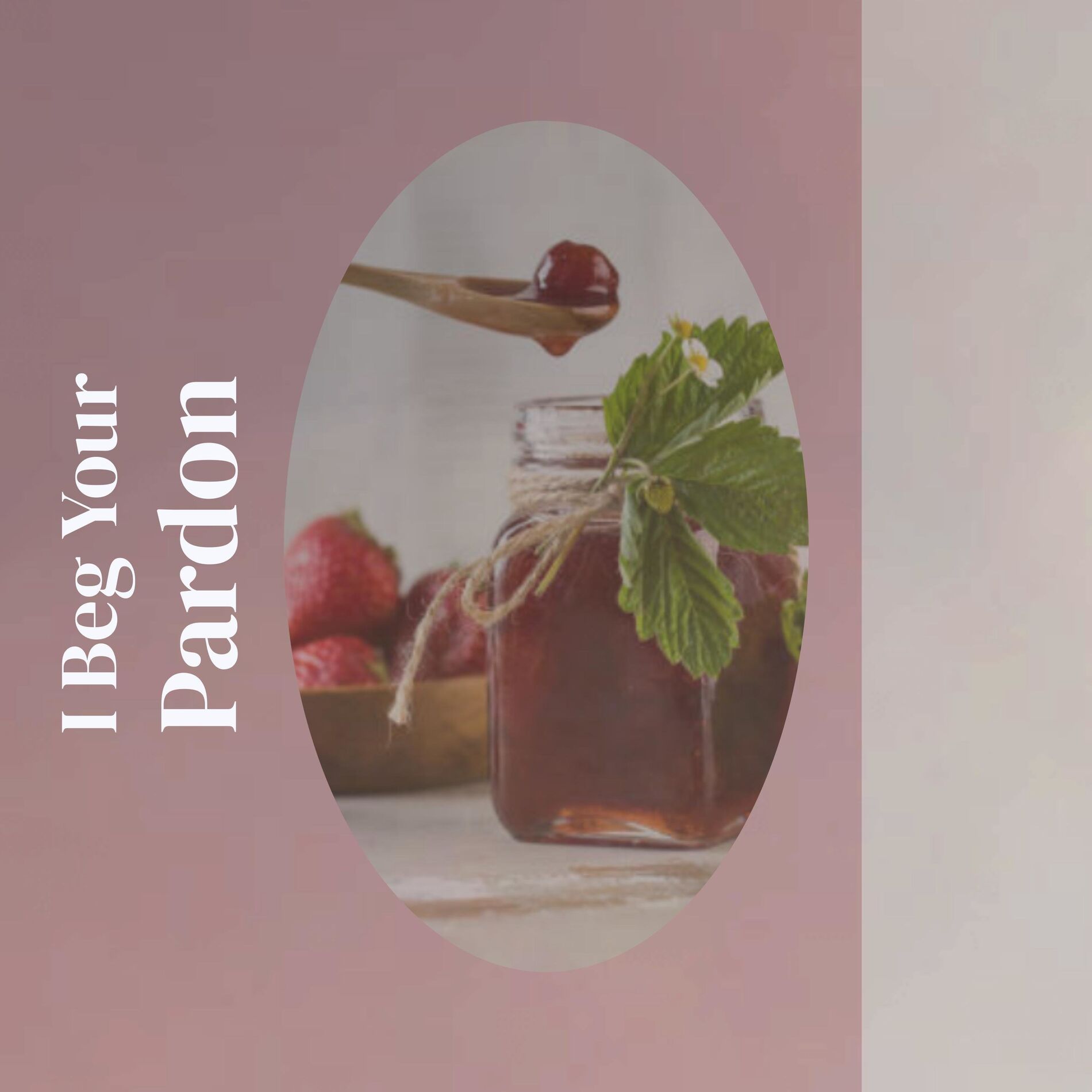 Album cover of I Beg Your Pardon