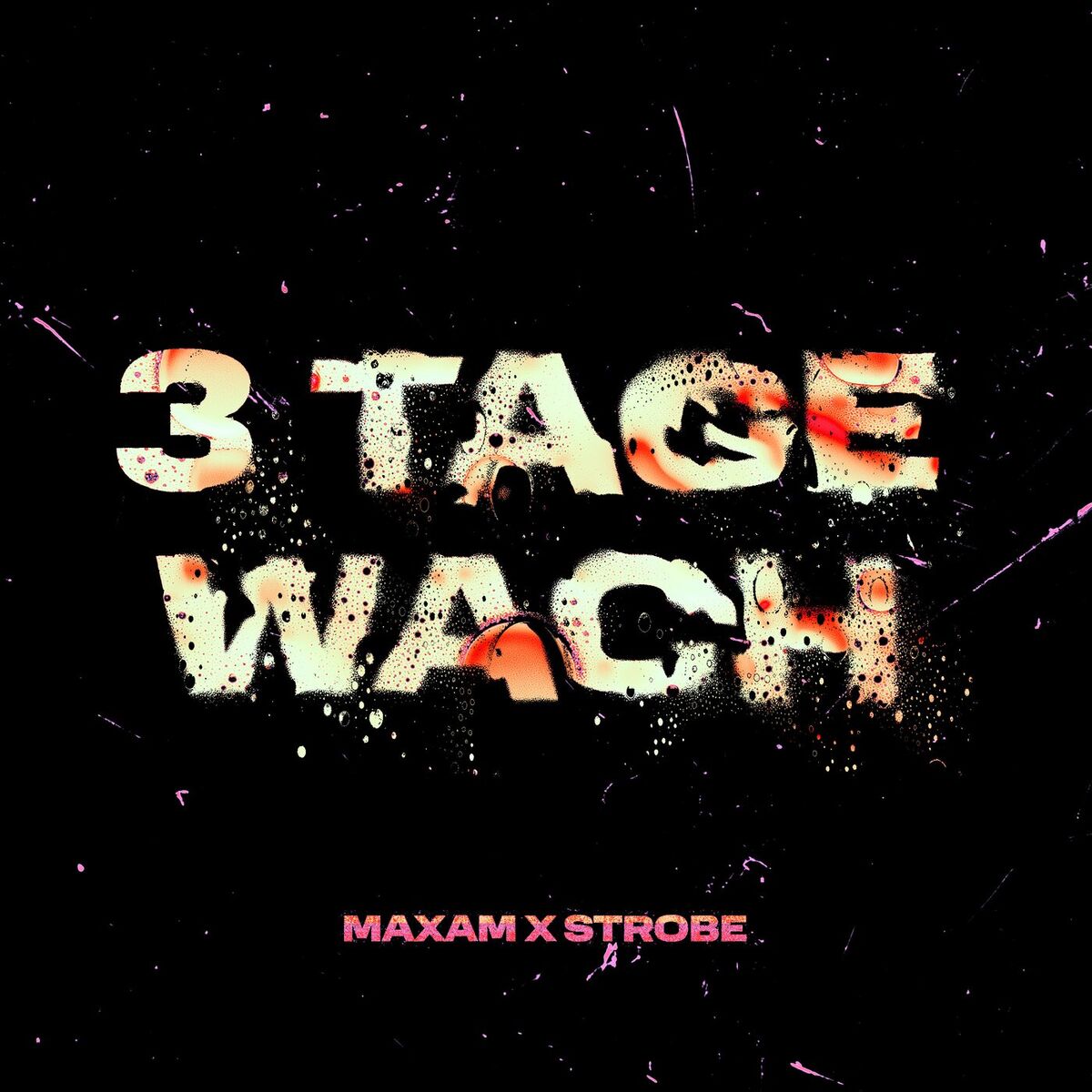 Album cover of 3 Tage Wach