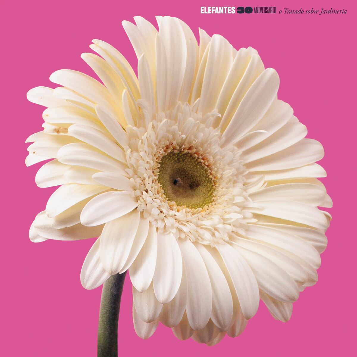 Album cover of Luciérnagas y mariposas