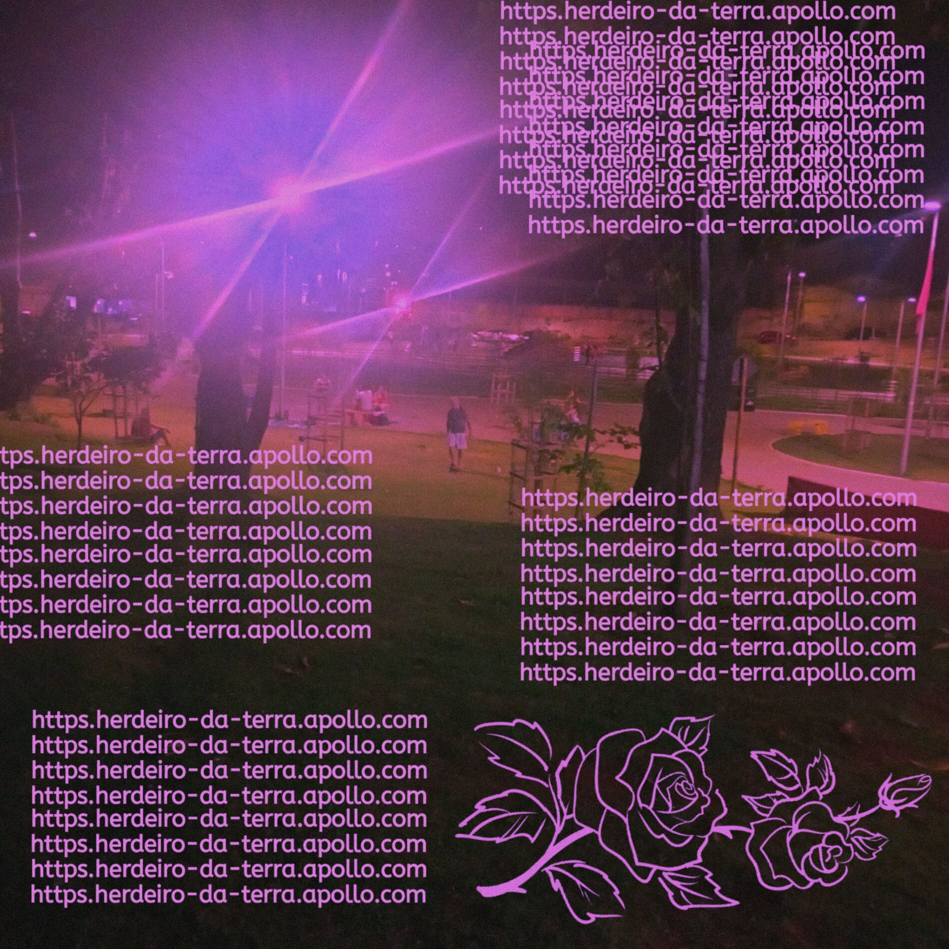 Album cover of Herdeiro da Terra