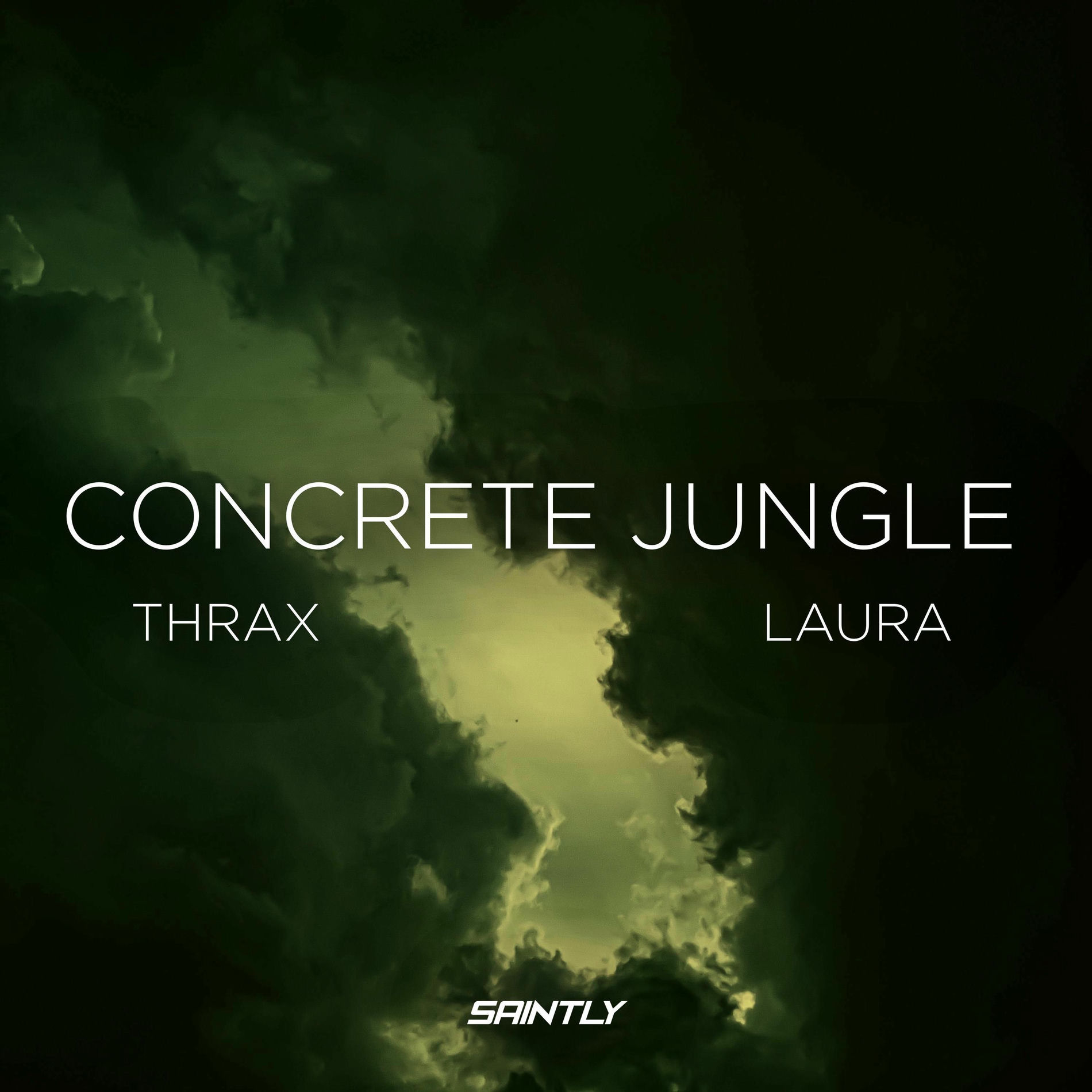 Album cover of Concrete Jungle