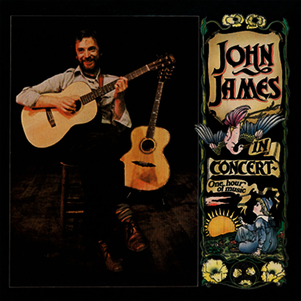Picture of John James in Concert