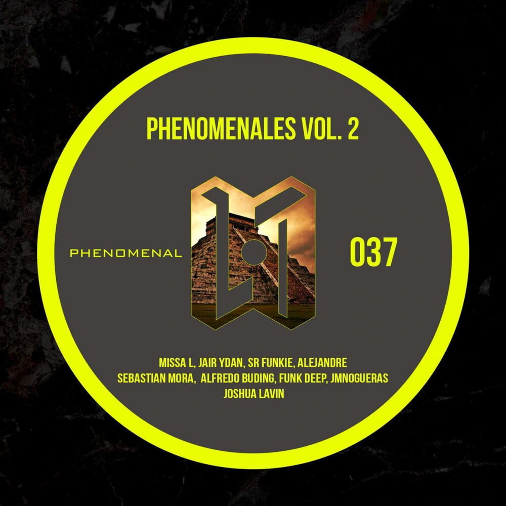 Picture of Phenomenales Vol.2