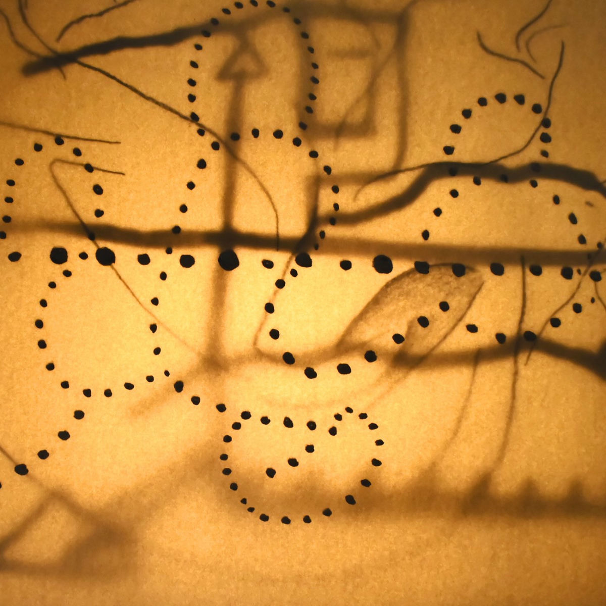 Album cover of Loonary