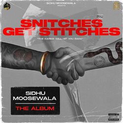 Cover of Snitches Get Stitches