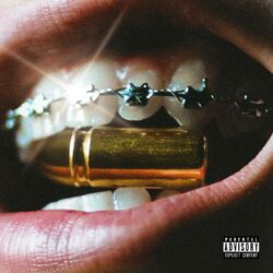 Cover of Bossoli