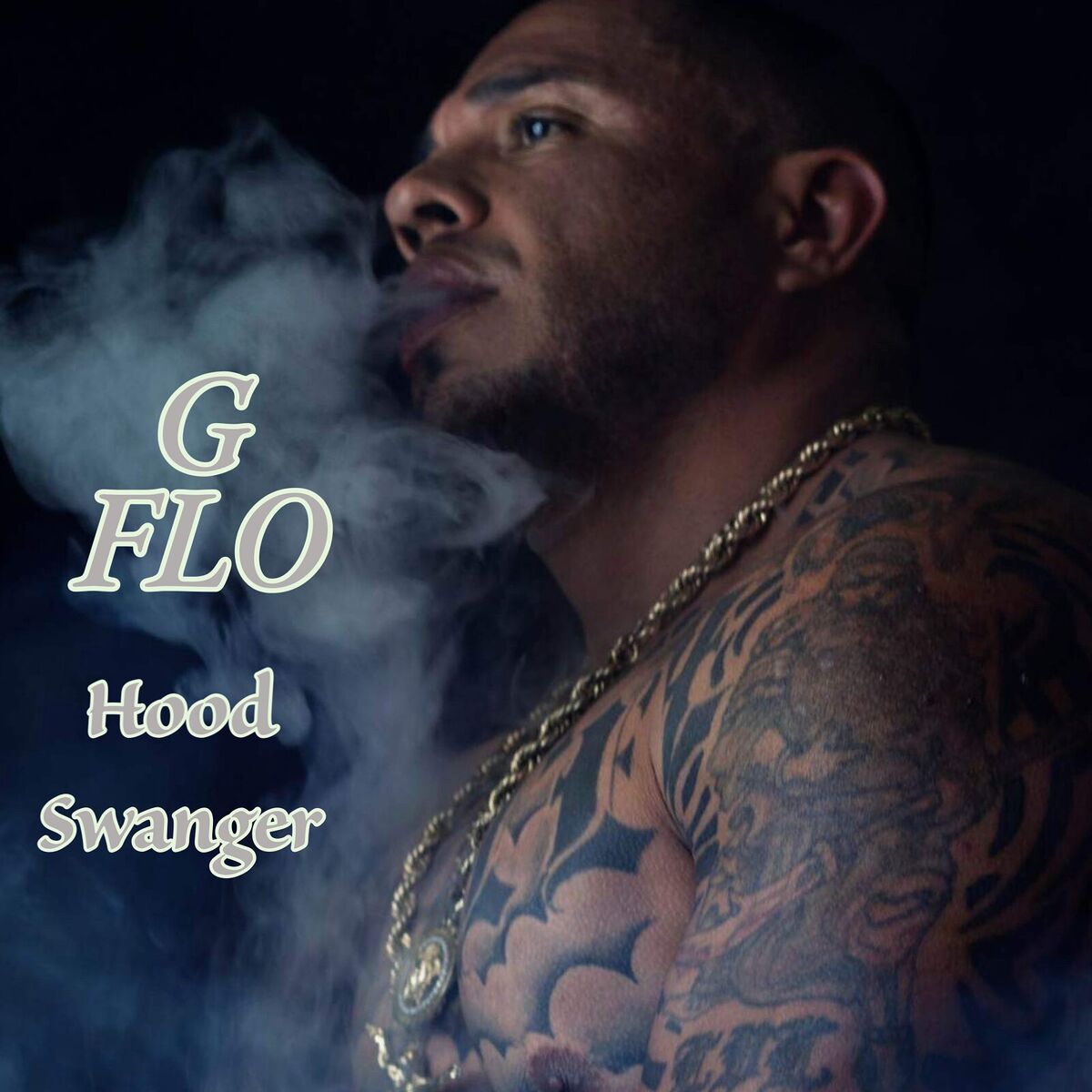 Album cover of Hood Swanger