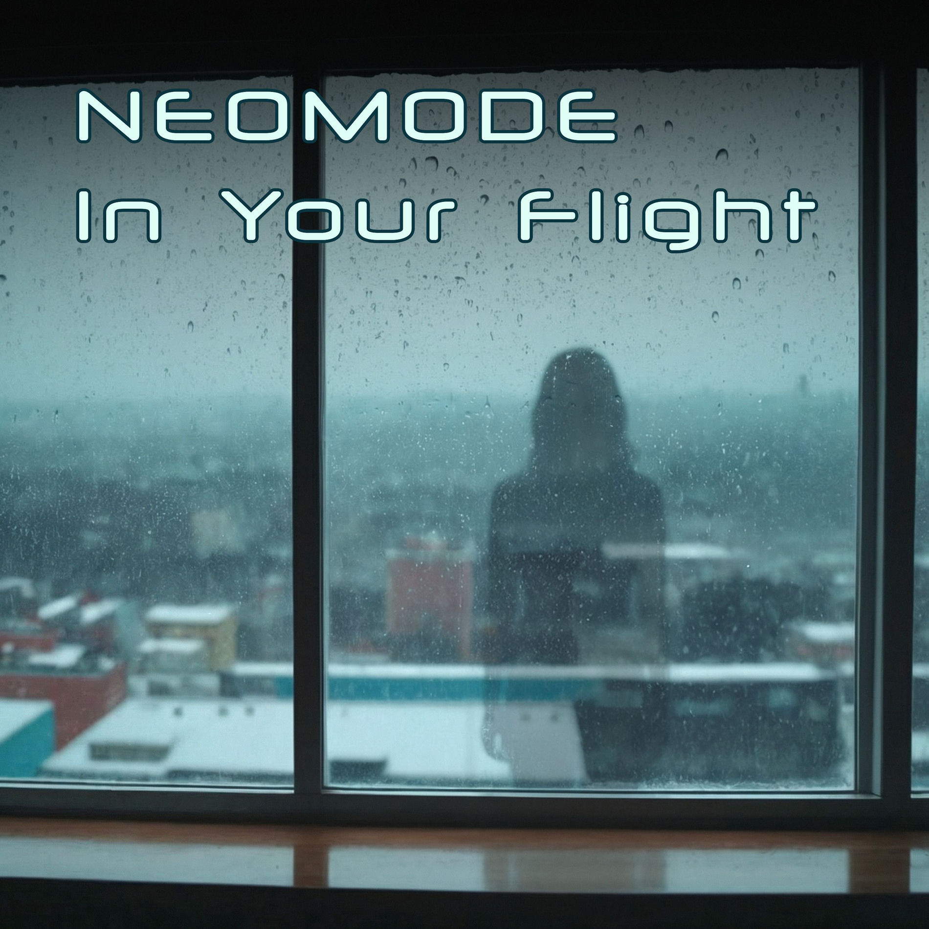 Album cover of In Your Flight