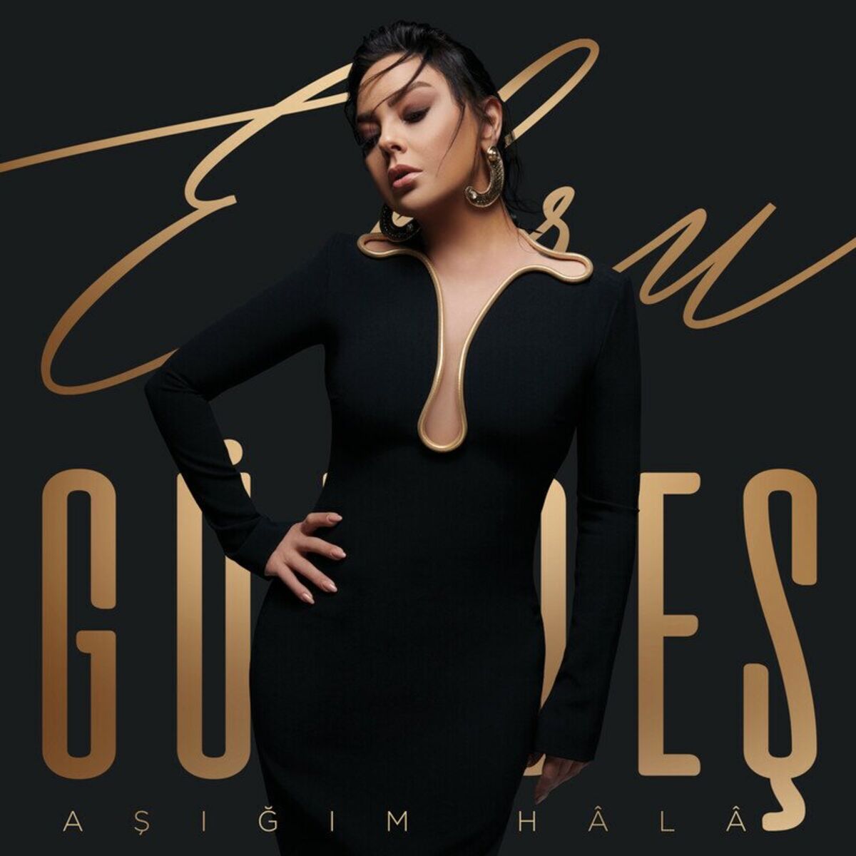 Album cover of Aşığım Hâlâ