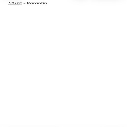 Karantin